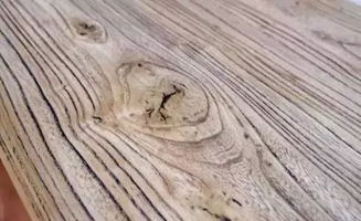 闻香识木，教您识别身边的木材