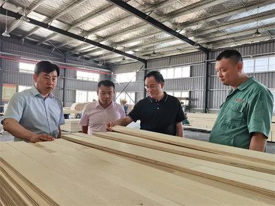 携手共进，共筑未来——热烈欢迎中国木材保护工业协会会长刘能文一行莅临福庆参观考察指导