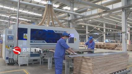 泗阳 积极引导加快转型，推动木材加工和家具制造业做大做强