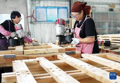 河北唐山 乡村工厂里的“木板”致富经