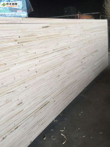 中木商网 一站式木材资讯与采购平台