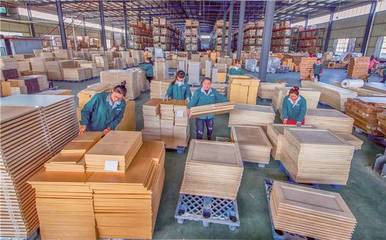 真心实意服务 真金白银支持——埇桥区精准发力助推民营经济高质量发展之木材产业篇