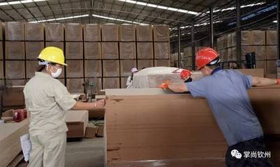 寿乡浦北 木材产业焕发新活力